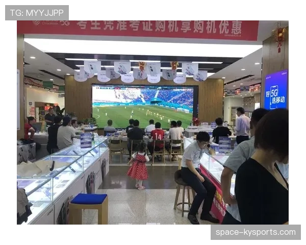 欧足联启动残障球迷观赛反馈调查，承诺进一步提升无障碍服务